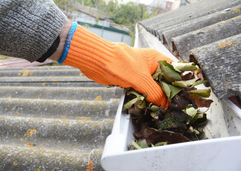 Clogged Gutter Clearing in Fredericksburg, VA