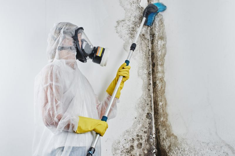 Stain and Mold Removal
