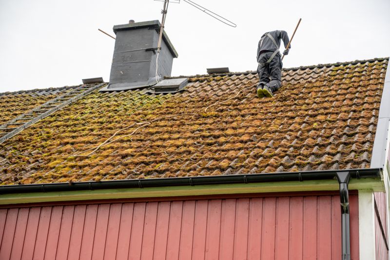 Roof Cleaning Experts