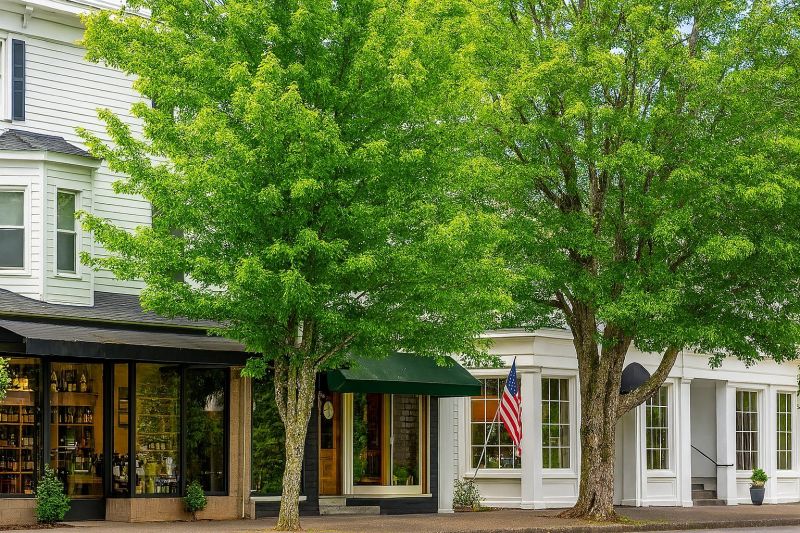 Local Commercial Pressure Washing in Ridgefield, WA