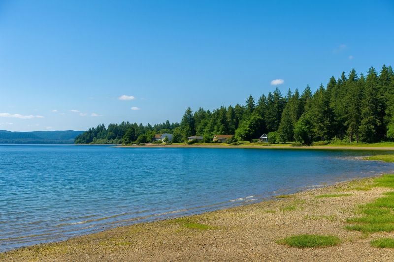 Local Driveway Concrete Sealing in Belfair, WA