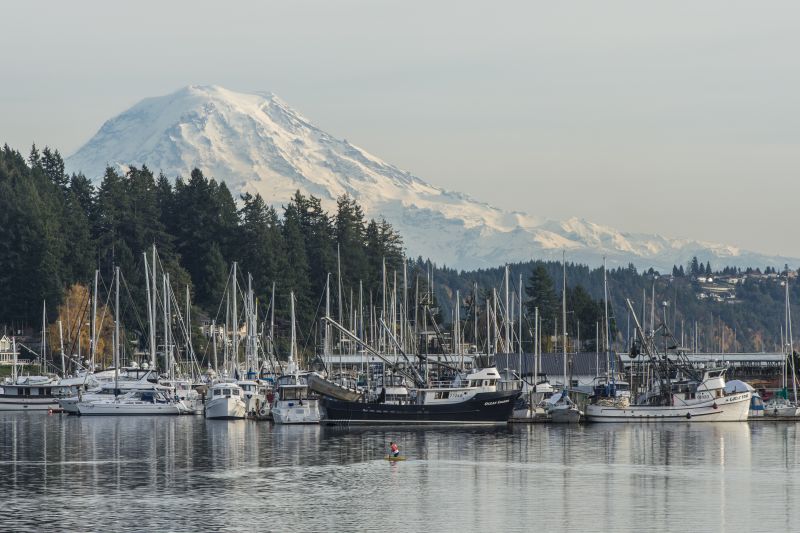 Local Fence Sealing in Gig Harbor, WA