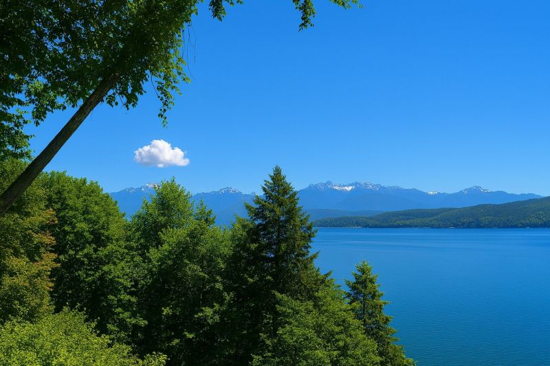 Local Patio Sealing in Seabeck, WA